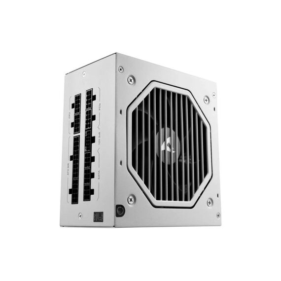 Sharkoon Netzteil Sharkoon Rebel P20 Plat.1000 WH ATX 3.1, 80 PLUS Plat., 120mm Lüfter