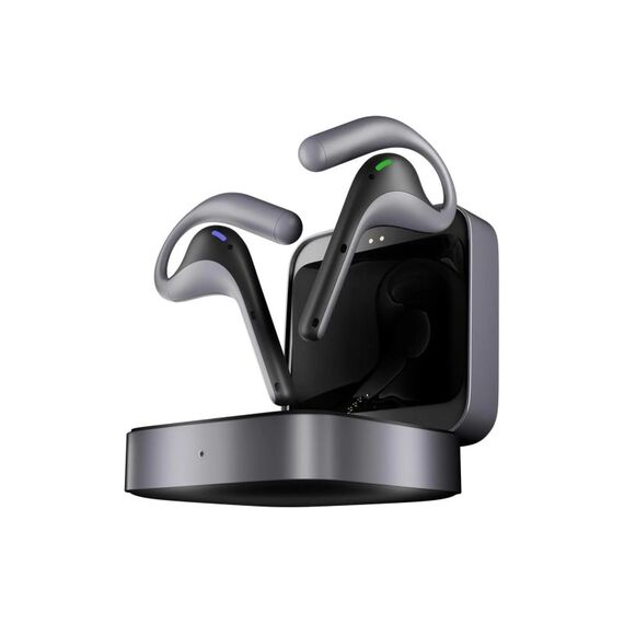 Timekettle W4 In-Ear-Simultanübersetzer Translator, Ohne Abomodell