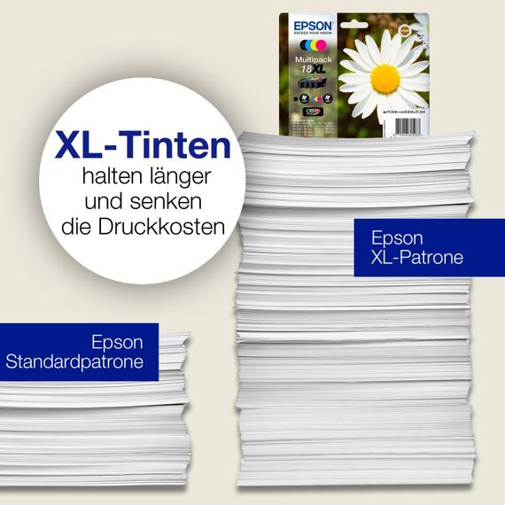 Epson Daisy 18XL Gänseblume Claria Home Multipack 4 Farben Tinte, 5 image