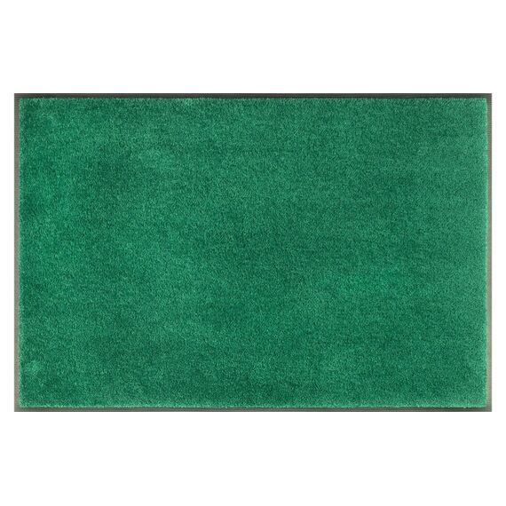 Wash+Dry Ever Green