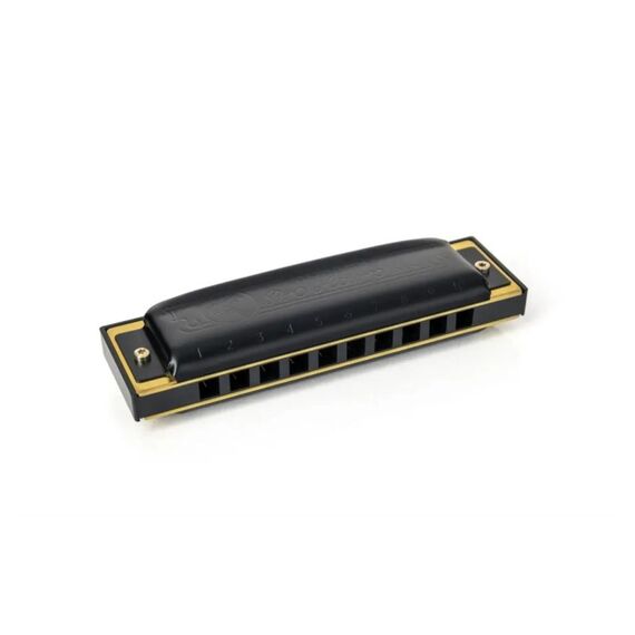 Hohner Pro Harp