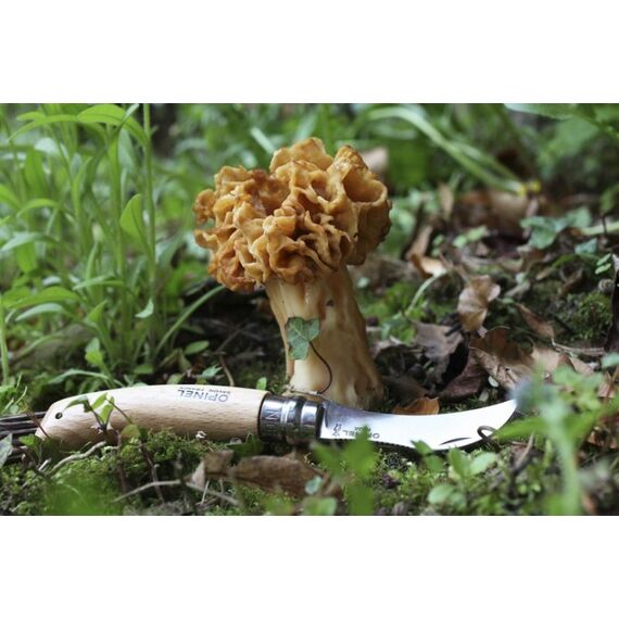 Opinel 3123840012525 Taschenmesser Holz, 3 image