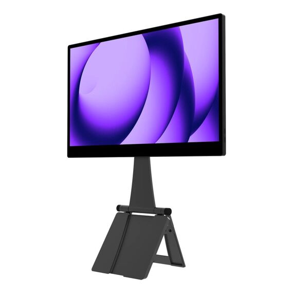 Espresso Displays Pro 15 Tragbarer Monitor Schwarz 39,6 cm (15.6") LCD 3840 x 2160 Pixel