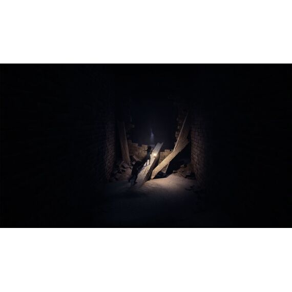 THQ REANIMAL (Playstation 5) Standard Mehrsprachig, 10 image