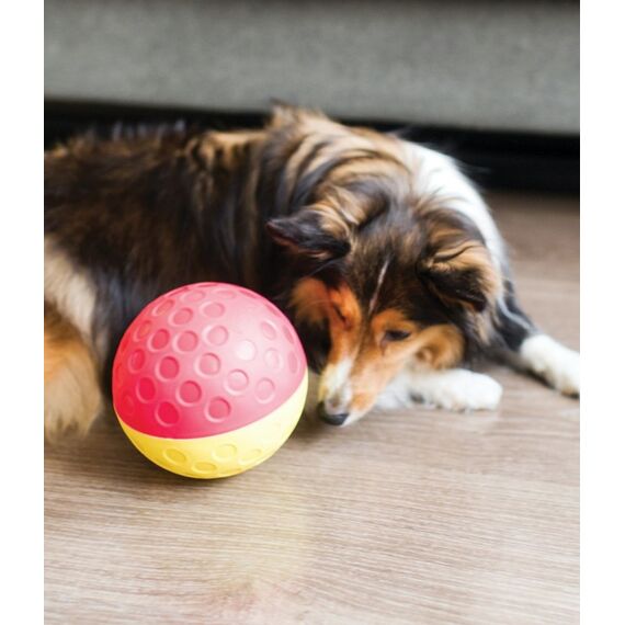 Outward Hound Treat Tumble, 2 image