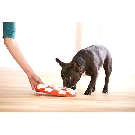 Outward Hound Dog Smart, 4 image