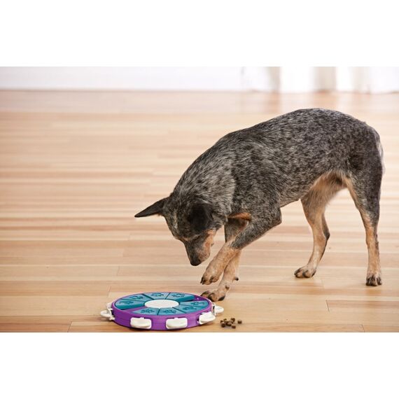 Outward Hound Dog Twister, 3 image