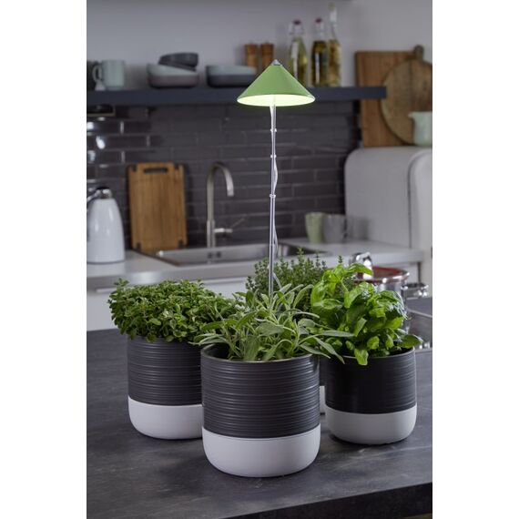 Venso EcoSolutions SUNLiTE, Farbe: Chrom, Grün, Länge: 4 m, 3 image