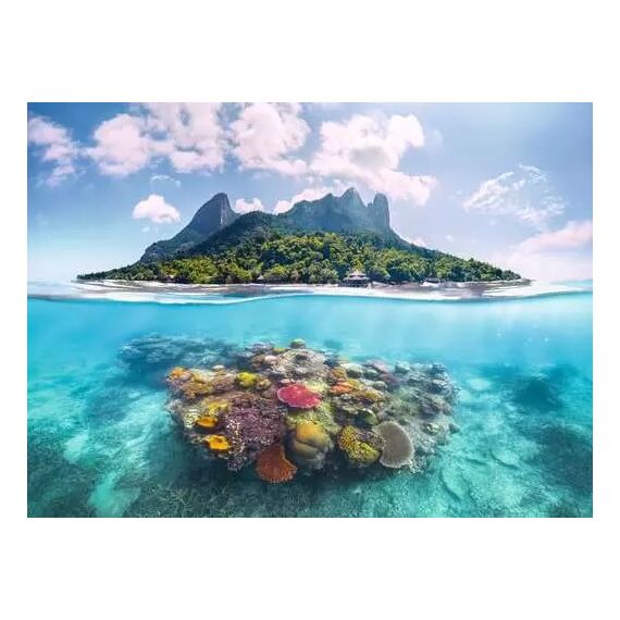 Ravensburger 12001798 Puzzle Puzzlespiel 500 Stück(e) Flora, 2 image