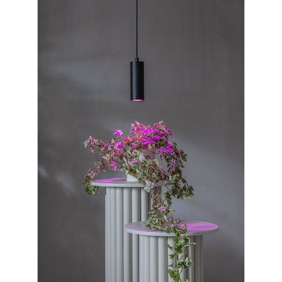 Star Trading 357-38 LED-Lampe Rot 3,5 W GU10, 3 image