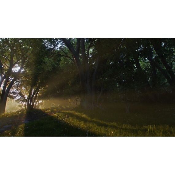 Microsoft Fable, 6 image