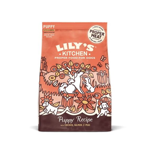 Lily's Kitchen Chicken & Salmon Dry Food for Puppies 2,5 kg Adult Huhn, Leber, Lachs