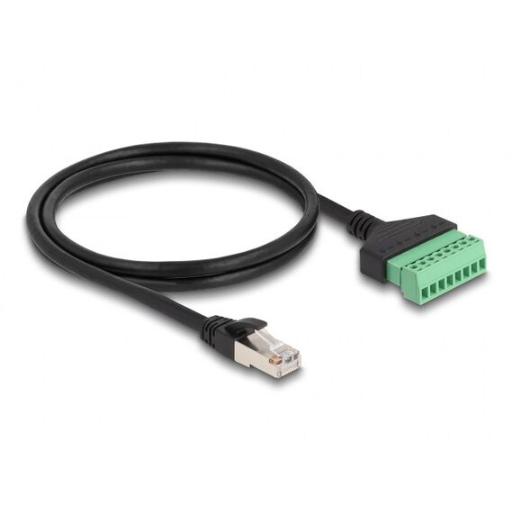 DeLOCK RJ45 Kabel Cat.6 Stecker zu Terminalblock Adapter 1 m 2-teilig