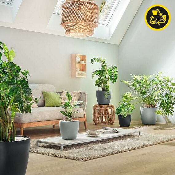 LECHUZA CLASSICO Color ECO 60 Drinnen/Draußen Dosen-Pflanzer Freistehend Kunststoff Grau, 5 image