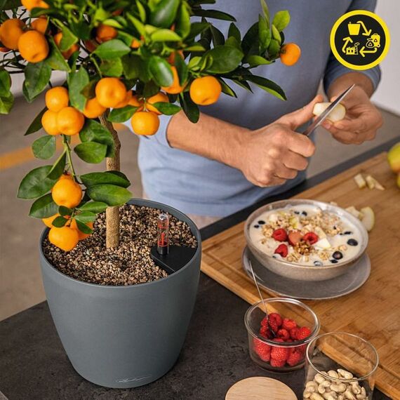 LECHUZA CLASSICO Color ECO 60 Drinnen/Draußen Dosen-Pflanzer Freistehend Kunststoff Grau, 8 image