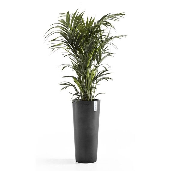 Ecopots Amsterdam High 76 Drinnen/Draußen Topfpflanzer Freistehend Kunststoff Dunkles Grau, Farbe: Dunkles Grau, 2 image