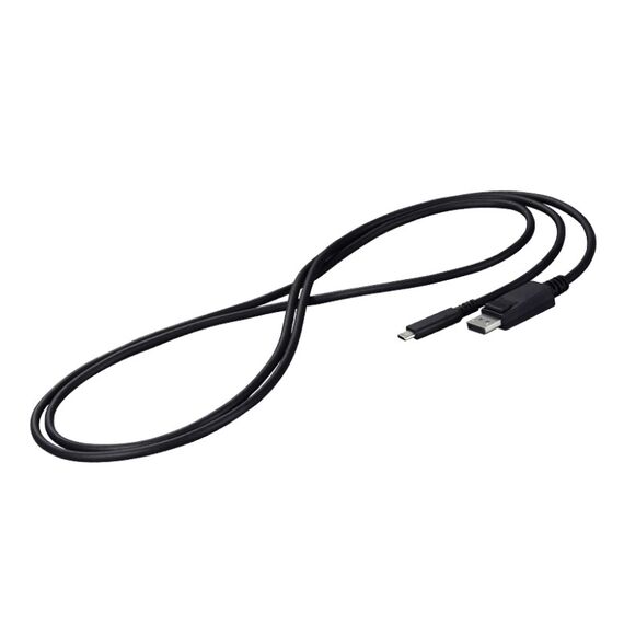 EIZO CP200-BK DisplayPort-Kabel 2 m USB Typ-C Schwarz