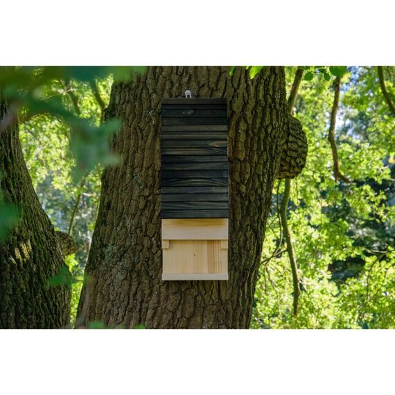 Dobar Großer Fledermauskasten, Schwarz, 5 image