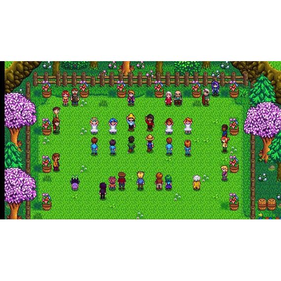 505 Games Stardew Valley, 4 image