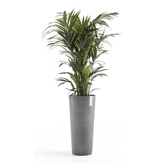Ecopots Amsterdam High 76 Drinnen/Draußen Topfpflanzer Freistehend Kunststoff Grau, Farbe: Grau, 2 image