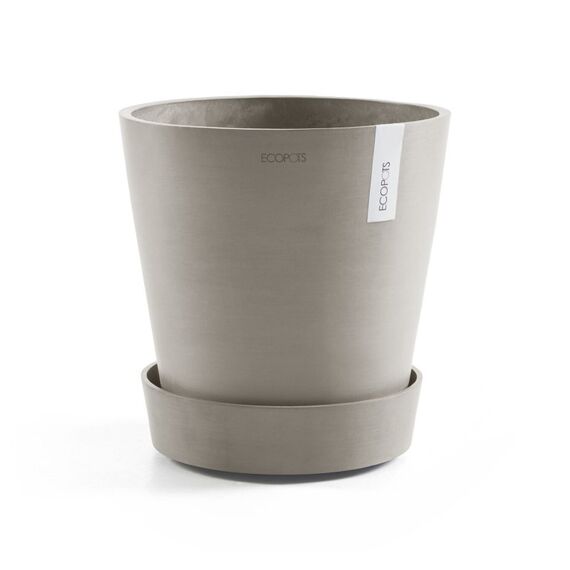 Ecopots Saucer Wheels Beige 1 Stück(e), 2 image