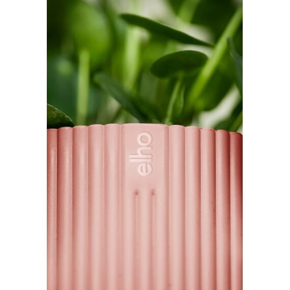 elho 8711904480974 Blumentopf Pink Kunststoff, Farbe: Pink, 4 image