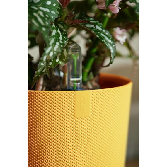 elho 8711904528553 Blumentopf Gelb Kunststoff, 4 image