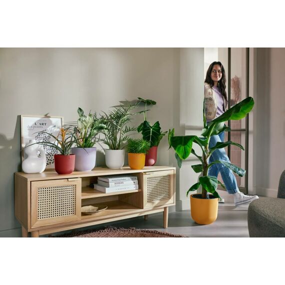 elho 8711904528553 Blumentopf Gelb Kunststoff, 7 image