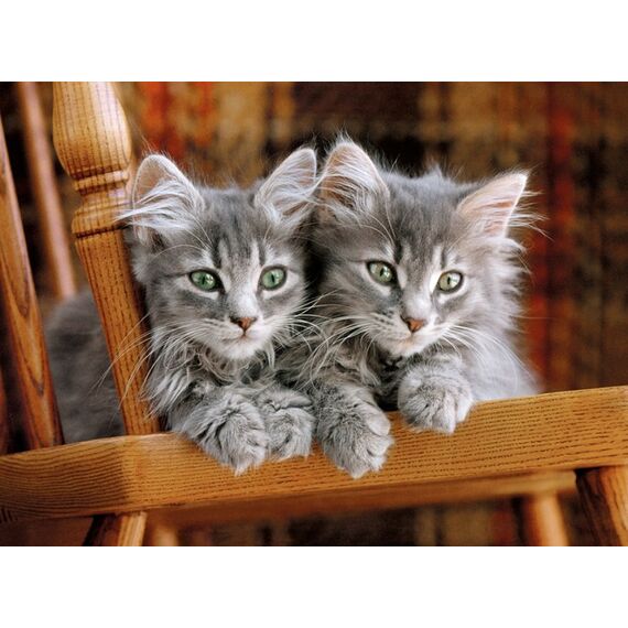 Clementoni Kittens Puzzlespiel 500 Stück(e) Fauna, 2 image