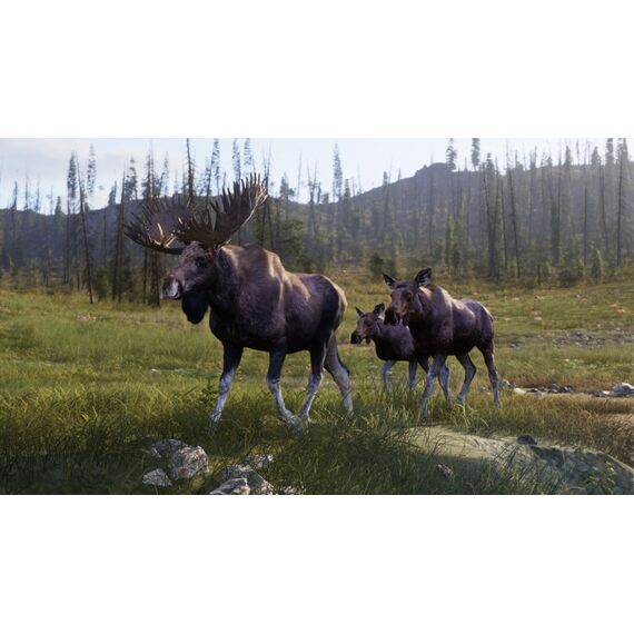 THQ Nordic Way of the Hunter 2 Standard PlayStation 5, 5 image