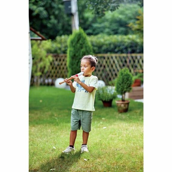 Hape Musician's Starter Recorder