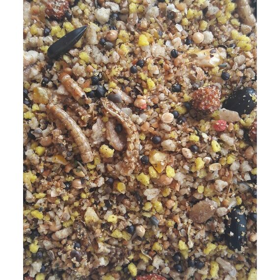 Versele-Laga 5410340641170 Wildvogelfutter Gemisch 2,5 kg Universal, 2 image