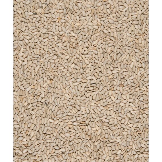 Versele-Laga 5410340648094 Wildvogelfutter Samen 750 g Universal, 2 image