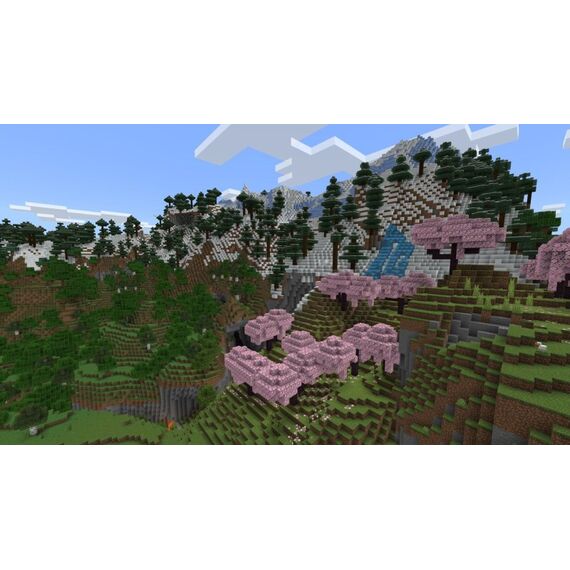 FLASHPOINT Minecraft Standard Bulgarisch, Vereinfachtes Chinesisch, Traditionelles Chinesisch, Tschechisch, Dänisch, Deutsch, Englisch, Spanisch, Finnisch, Französisch, Griechisch, Italienisch, Japanisch, Koreanisch, Norwegisch, Portugiesisch, POR-BRA, Ru, 4 image