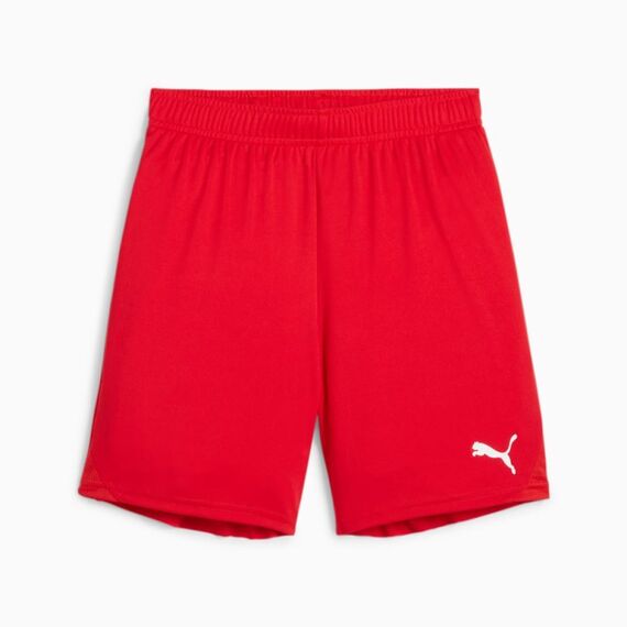 PUMA teamGOAL