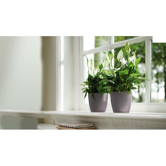 elho 8711904178062 Blumentopf Grau Kunststoff, 3 image