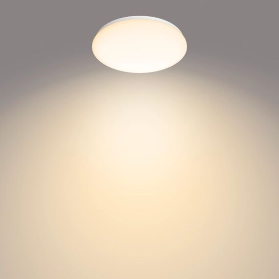 Philips Funktional Moire Deckenleuchte, 17 W