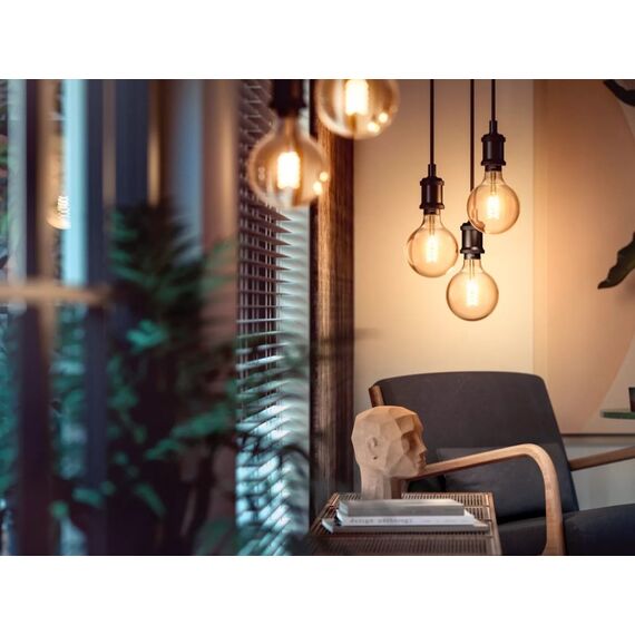 Philips E27 - Filament Giant Globe G125 - 550, 2 image