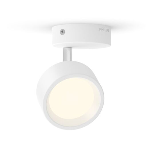 Philips Bracia Decken-/Wandspot