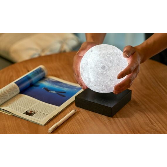 Gingko Design G019BK Beleuchtungsdekoration Leichte Dekorationsfigur LED, 6 image