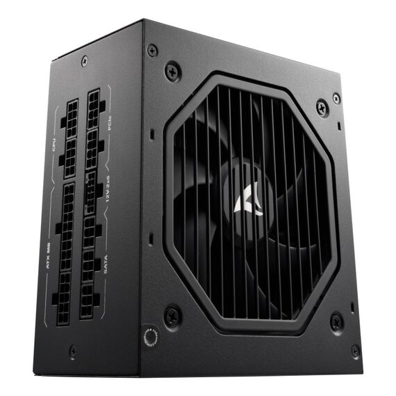 Sharkoon Rebel P20 Netzteil 1200 W 24-pin ATX ATX Schwarz, Farbe: Schwarz