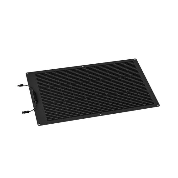 EcoFlow ZMS330 Solarmodul 100 W Monokristallines Silizium, 2 image