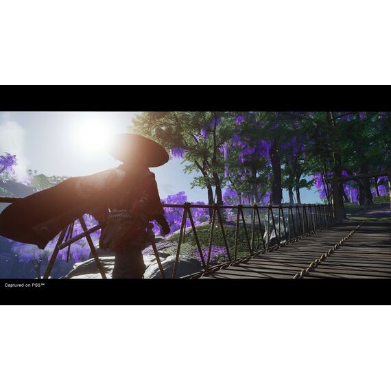 GAME Ghost of Tsushima Director`s Cut Standard PlayStation 4, 5 image
