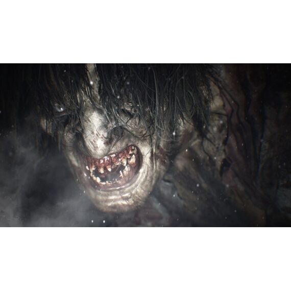 Capcom Resident Evil Village, 4 image