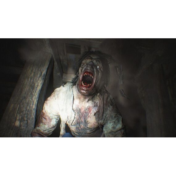 Capcom Resident Evil Village, 5 image