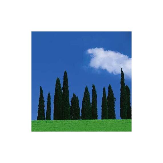 Hama Polarising Filter Circular, 77,0 mm, Coated, Black 77 mm, 2 image