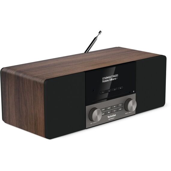 TechniSat DigitalRadio 3 Tragbar Analog & Digital Schwarz, Silber, Walnuss