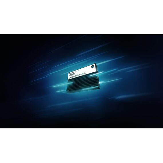 Kingston Technology 15,36TB DC3000ME U.2 PCIe 5.0 NVMe TCG Opal Enterprise SSD, 7 image