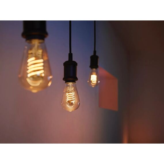 Philips E27 - Filament Edison ST64 - 550, 2 image