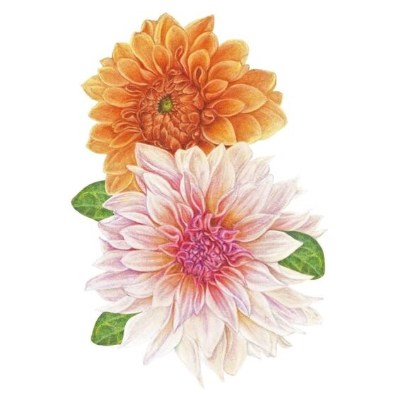 Faber-Castell 110014 Buntstift 140 Stück(e), 3 image